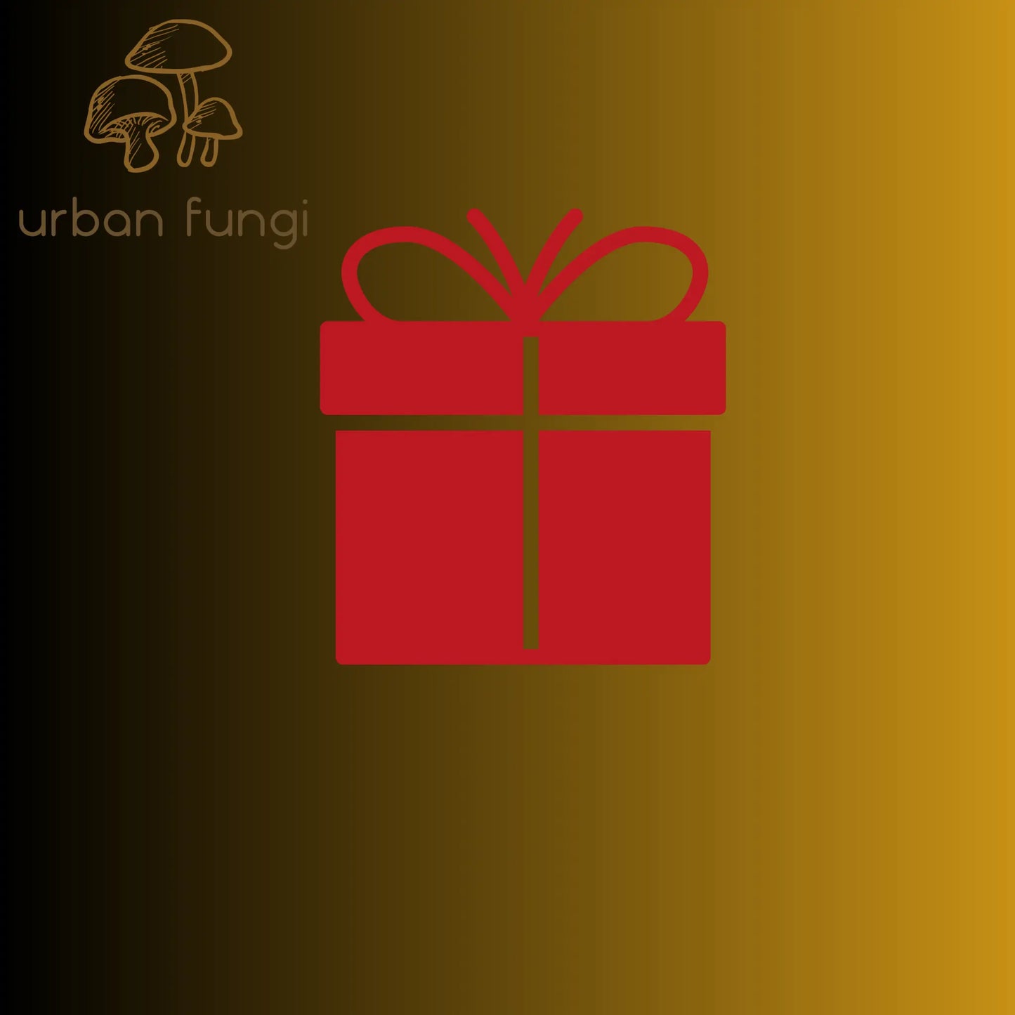 Give the Gift of Mushrooms Urban Fungi
