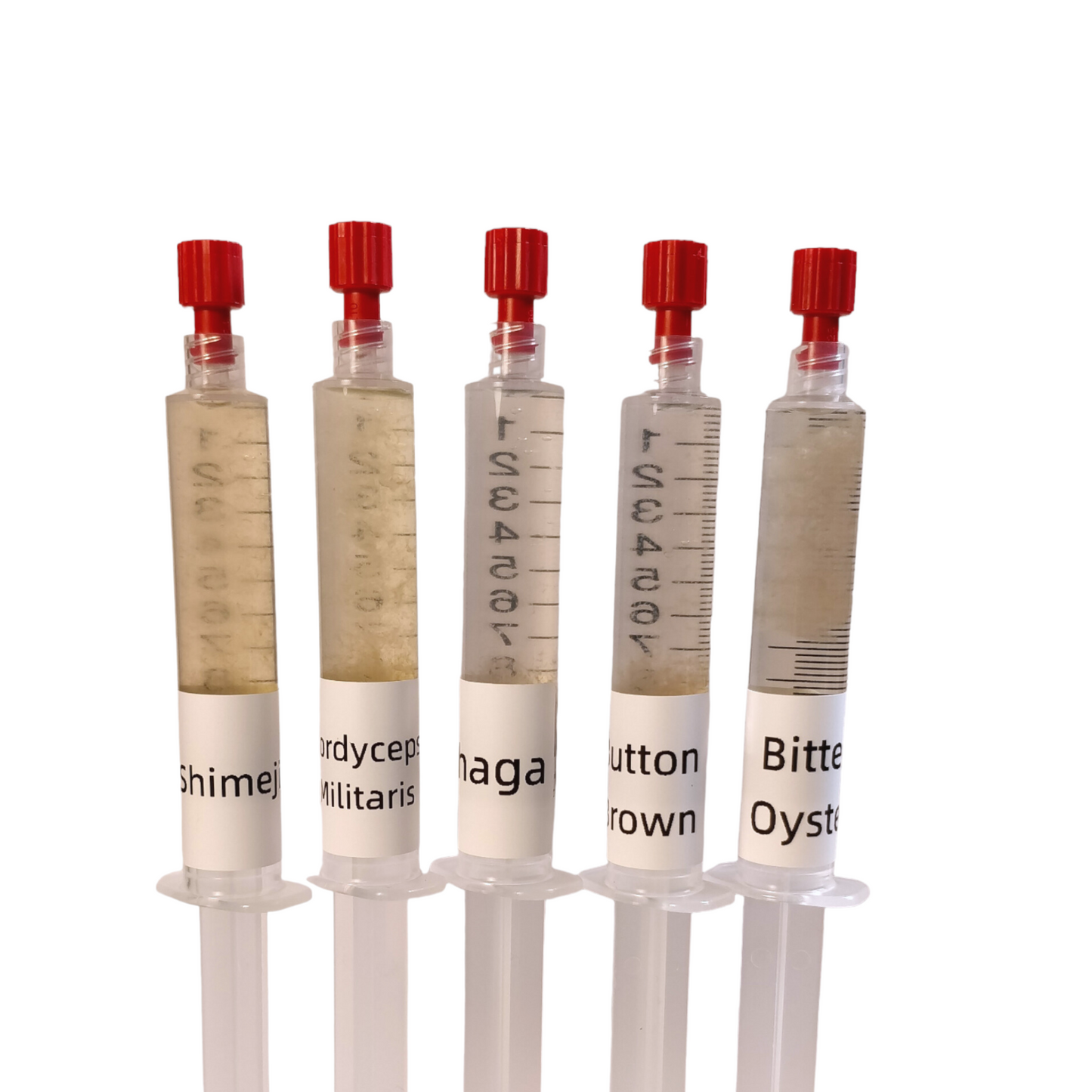 mushroom liquid culture 5 pack