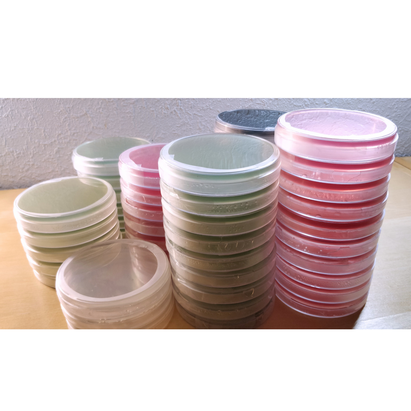 Sterile Agar-MYA-Mischungsplatten, bunt – 5 Stück.