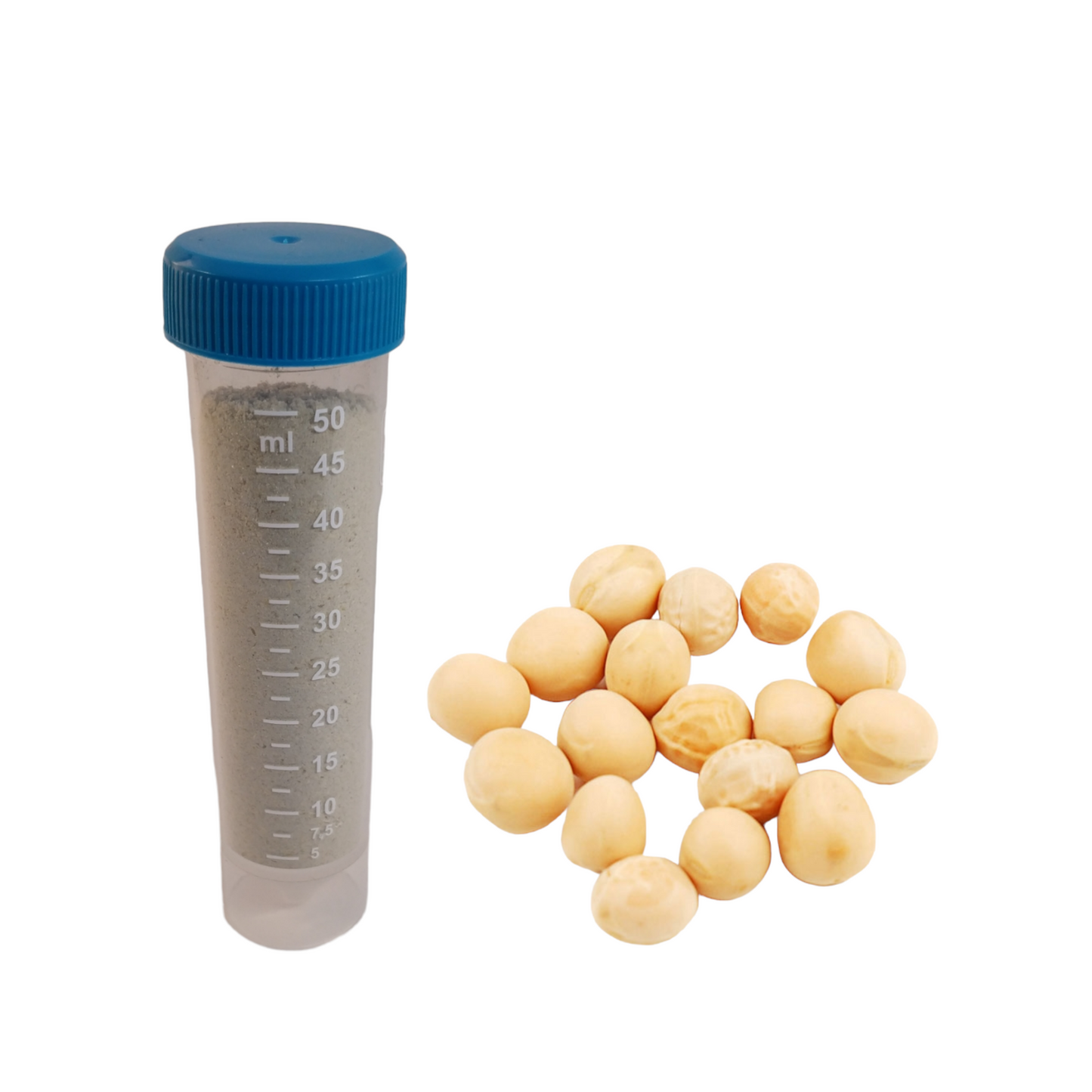 Tempeh-Starter Gelbe Erbse Rhizopus Oligosporus
