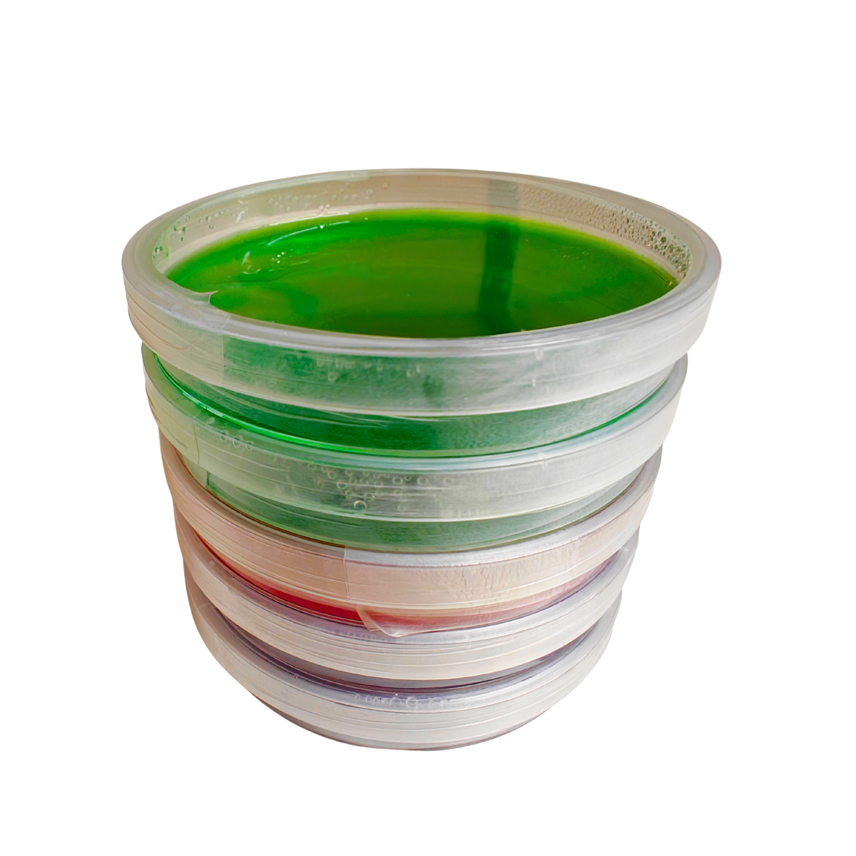 Sterile Agar MYA mixture Plates Colourful Urban Fungi