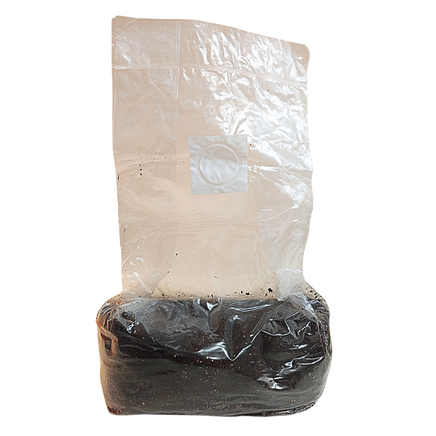 Coco Coir mushroom Growth Substrate Sterilized Substrate