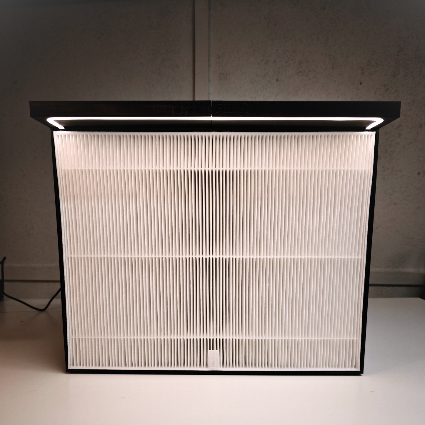 Laminar Flow Hood - HEPA filter, Mycology works with high success rates 307x372