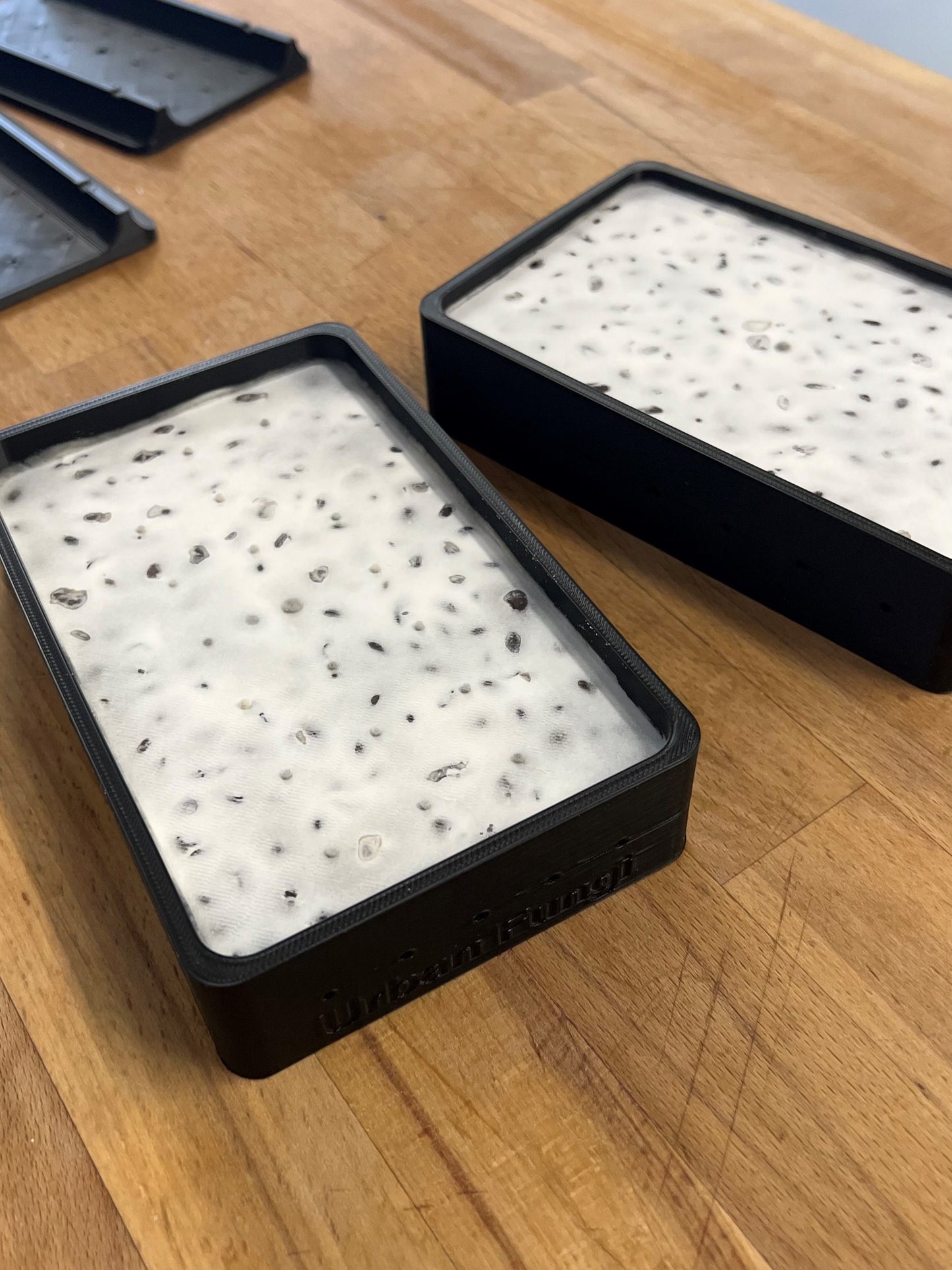 Tempeh-Zubereitungsset, um Tempeh zu Hause einfach und gesund zuzubereiten