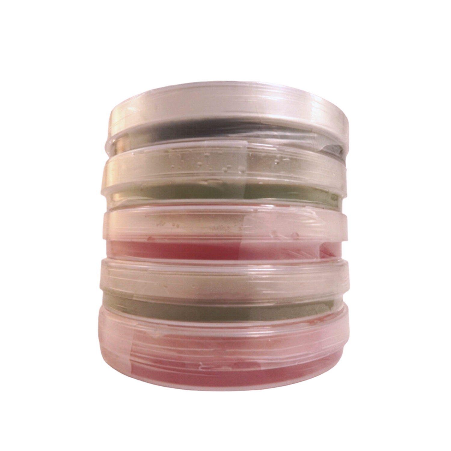 colorful agar plates