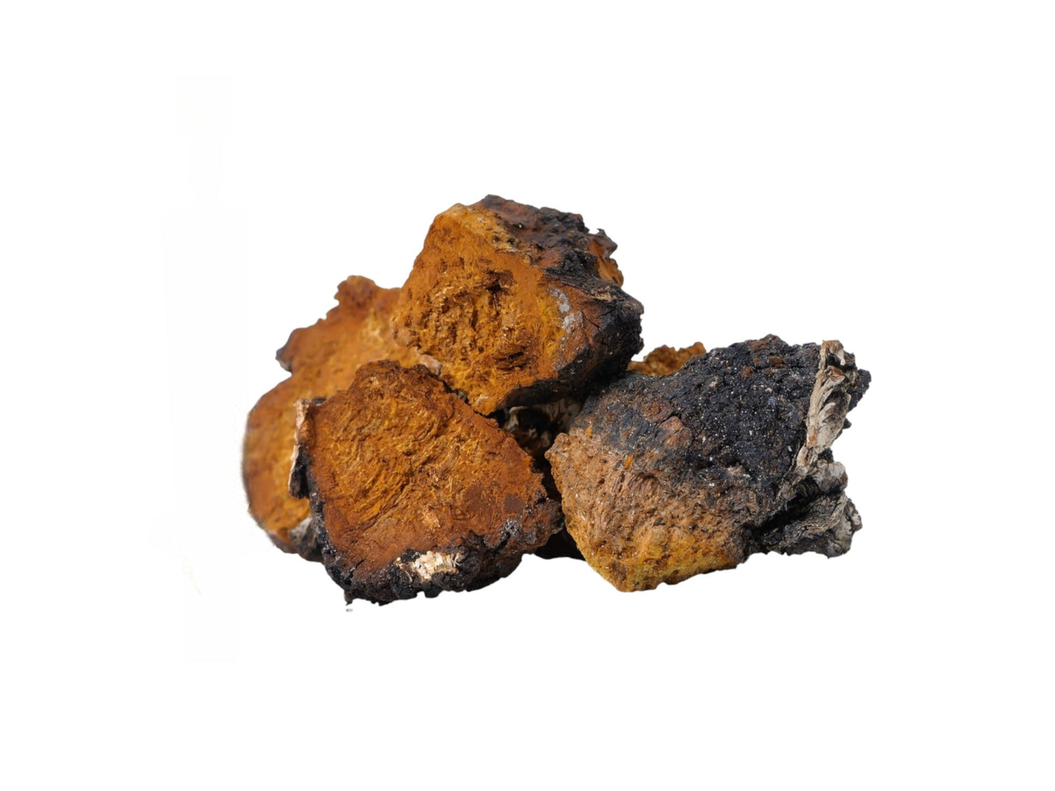 dried mushrooms chaga