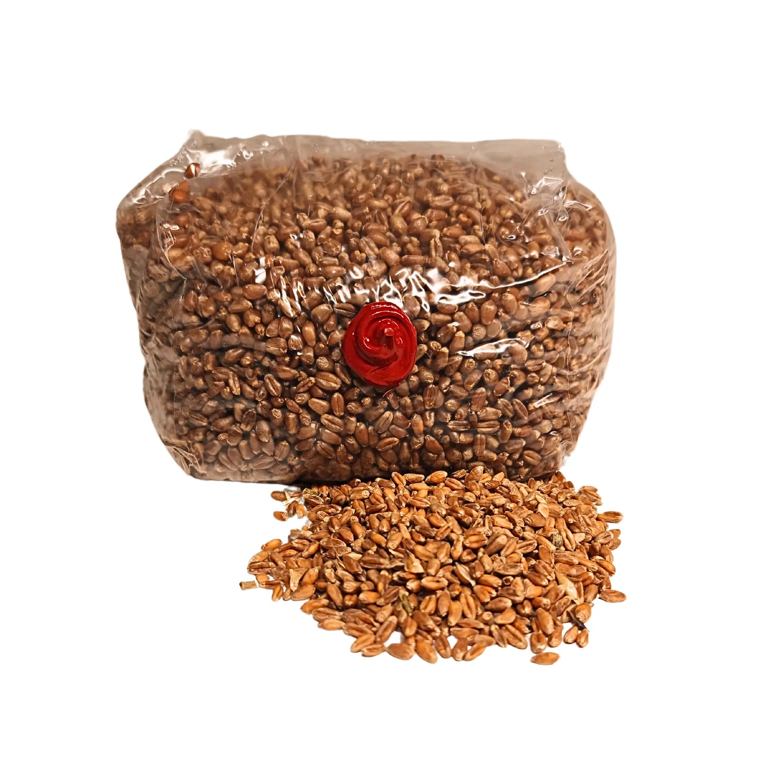 grain spawn sterilized