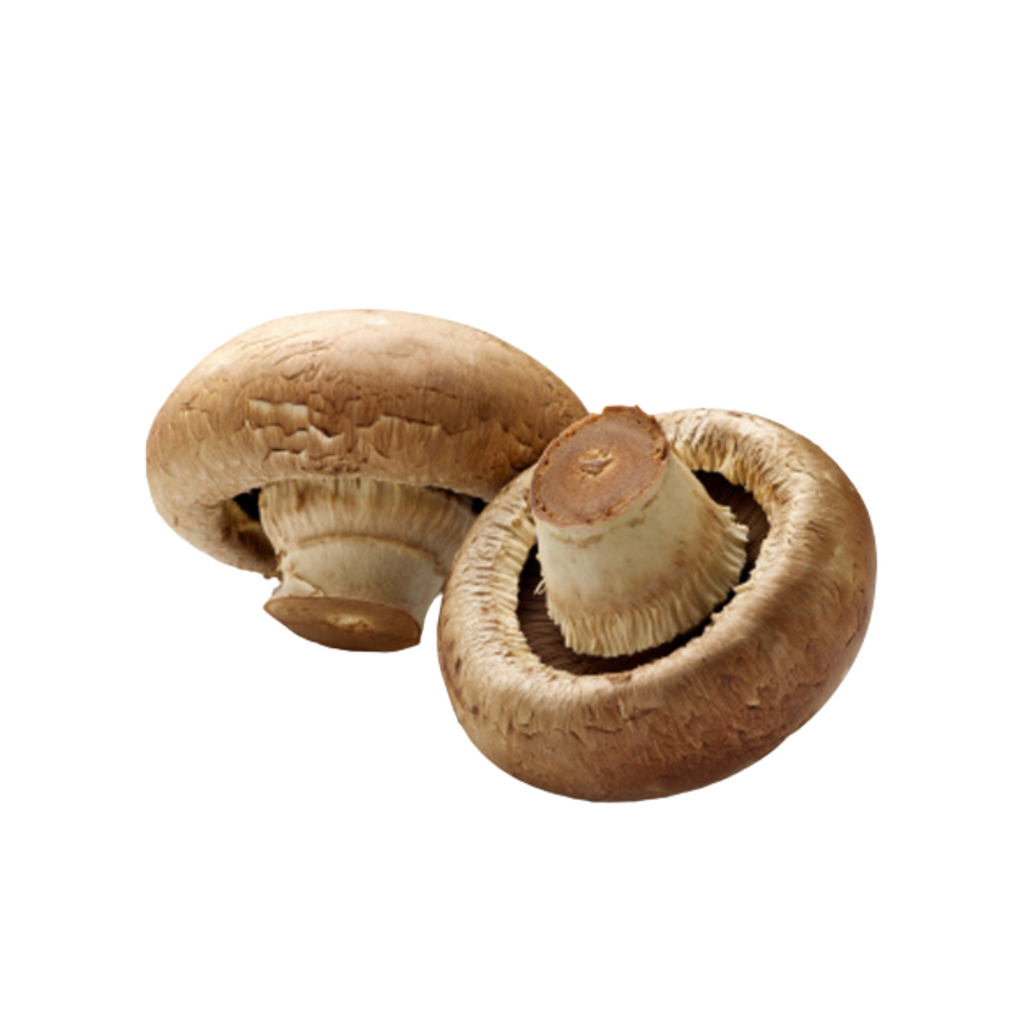 Button mushroom