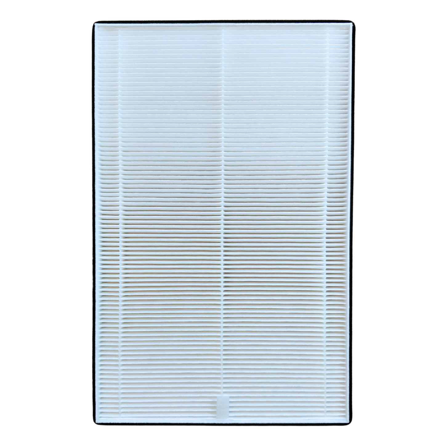 Replacement hepa filter