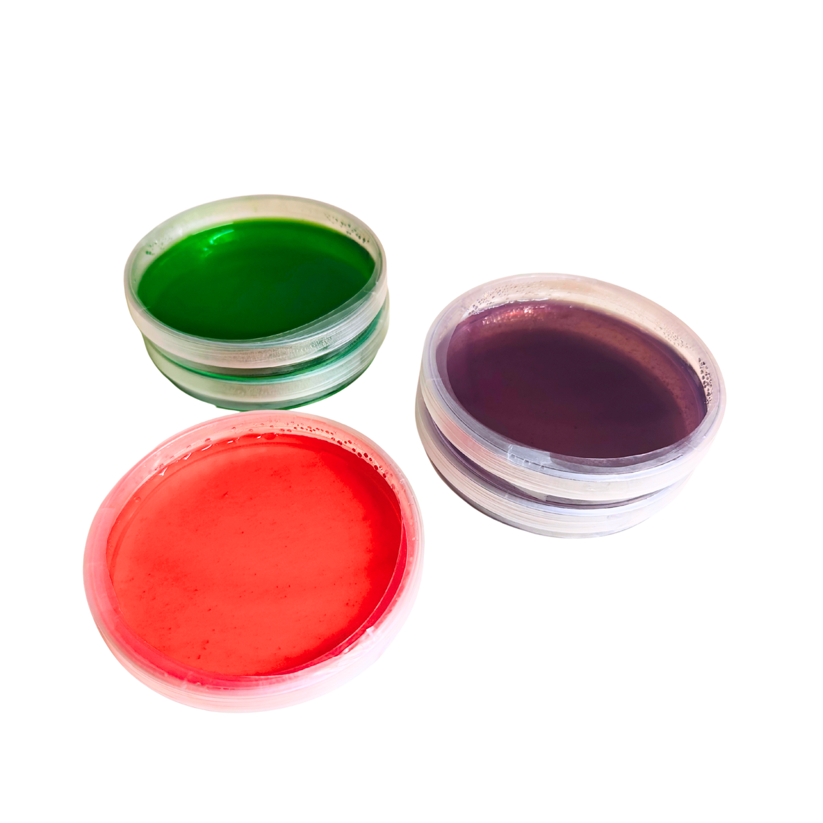 Sterile Agar MYA mixture Plates Colourful Urban Fungi