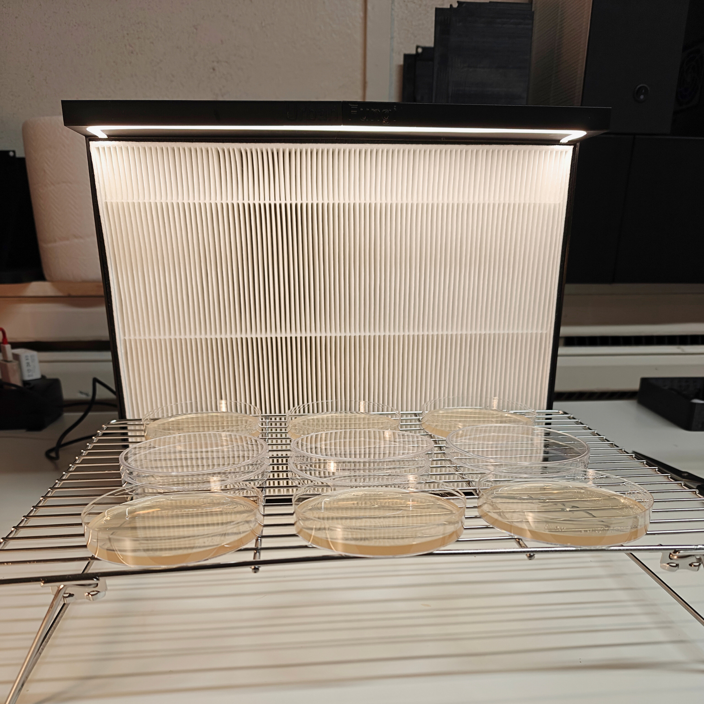 Laminar Flow Hood - HEPA filter, Mycology works with high success rates 307x372