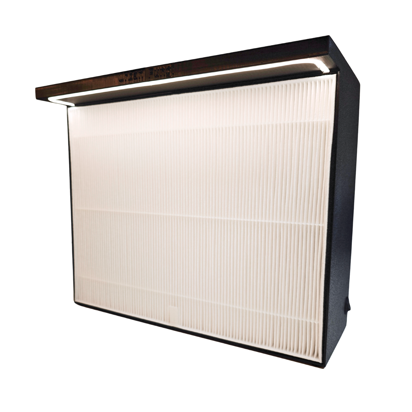 Laminar flow hood large