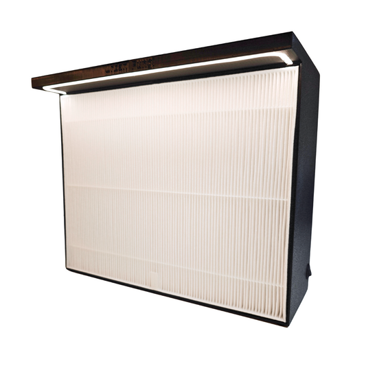 Laminar flow hood large