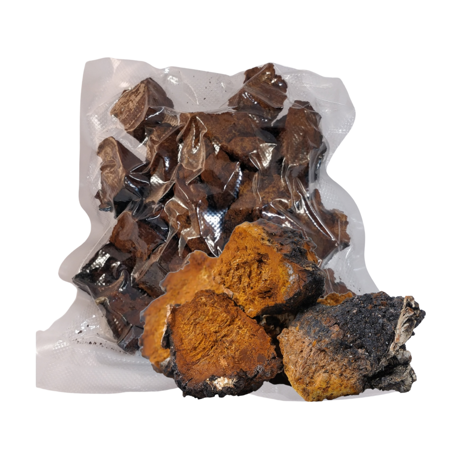 Wild Chaga Chunks Inonotus Obliquus Dried