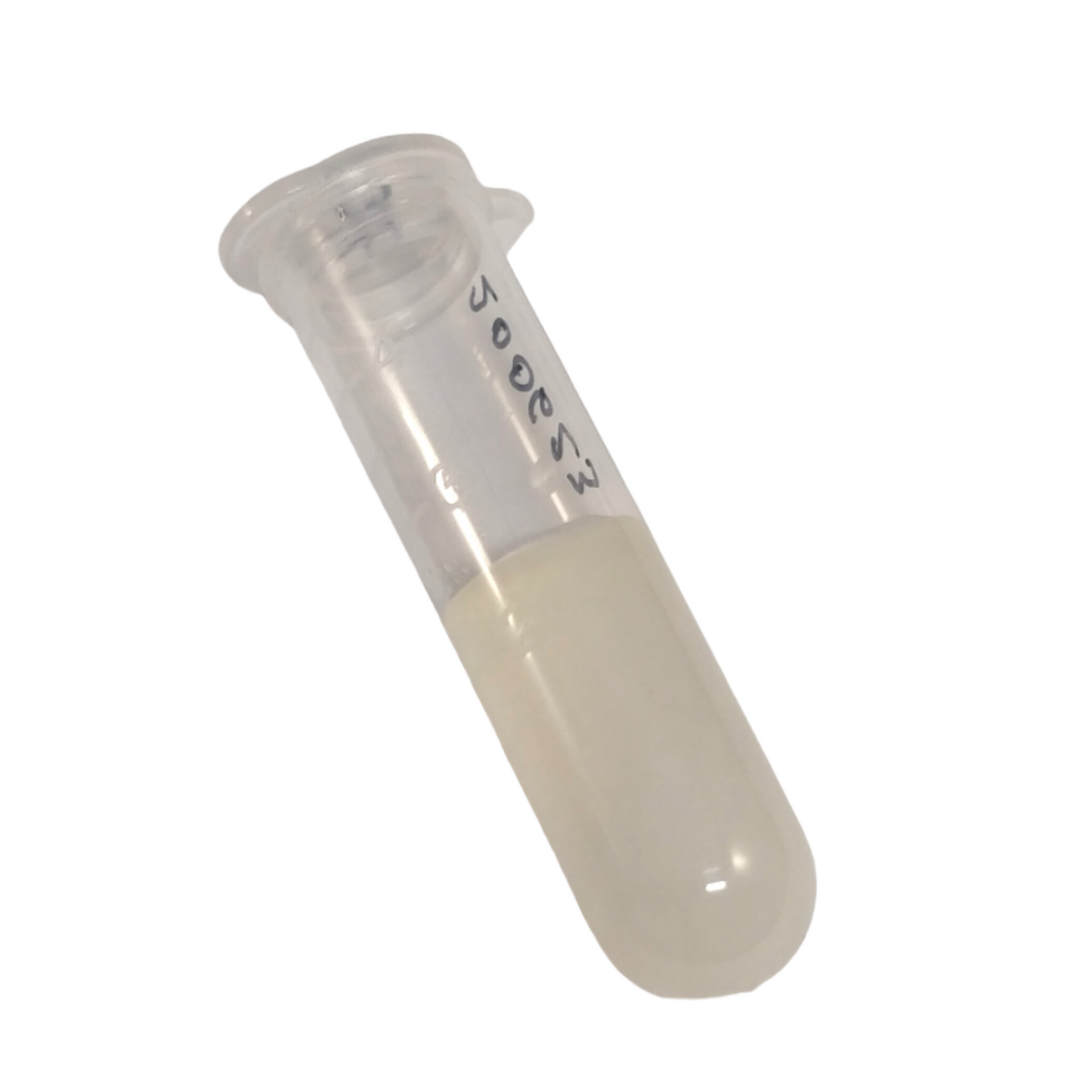 agar culture in epp tube