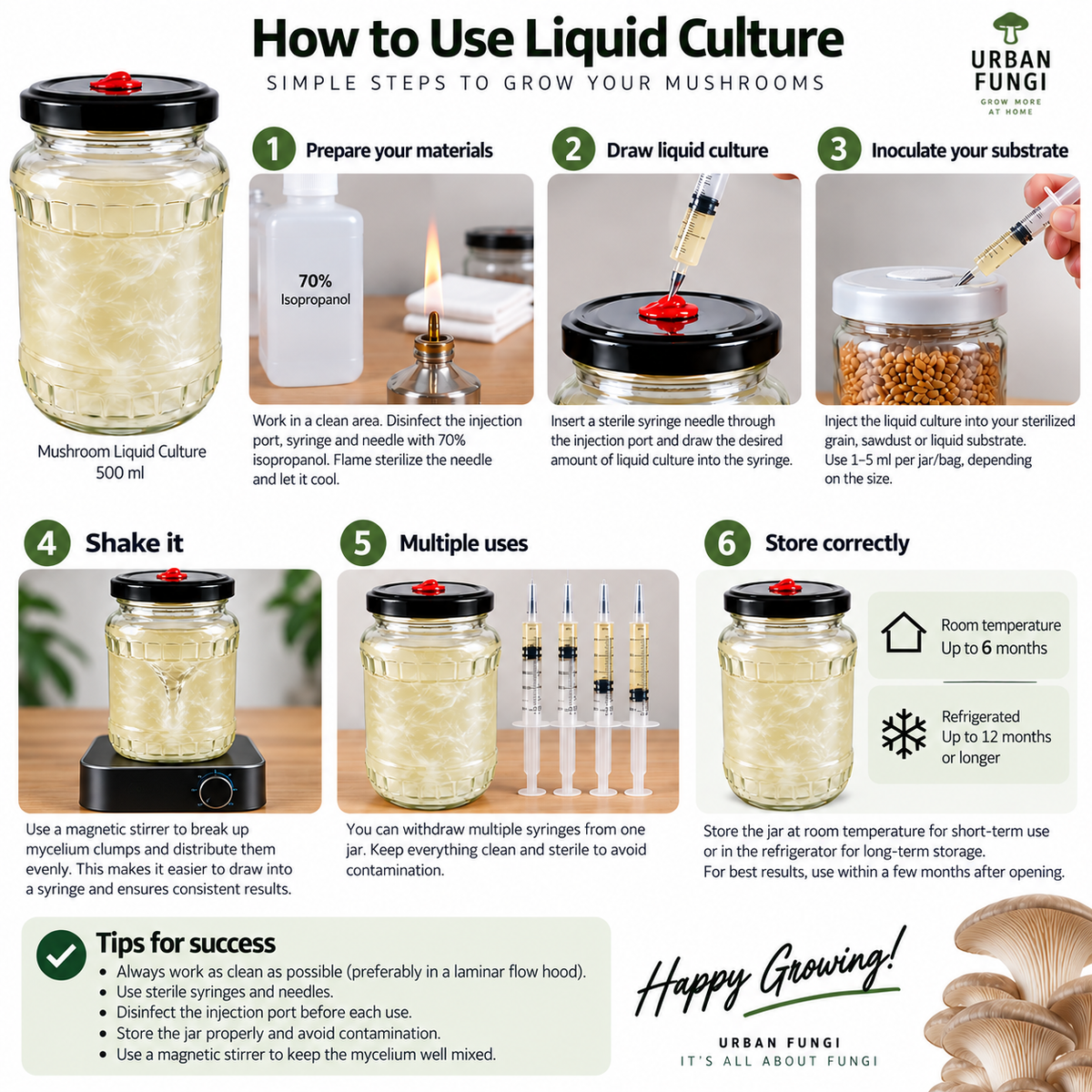 Mushroom Liquid Culture Jar 500mL Urban Fungi