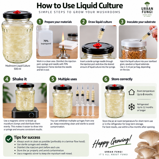 Mushroom Liquid Culture Jar 500mL Urban Fungi