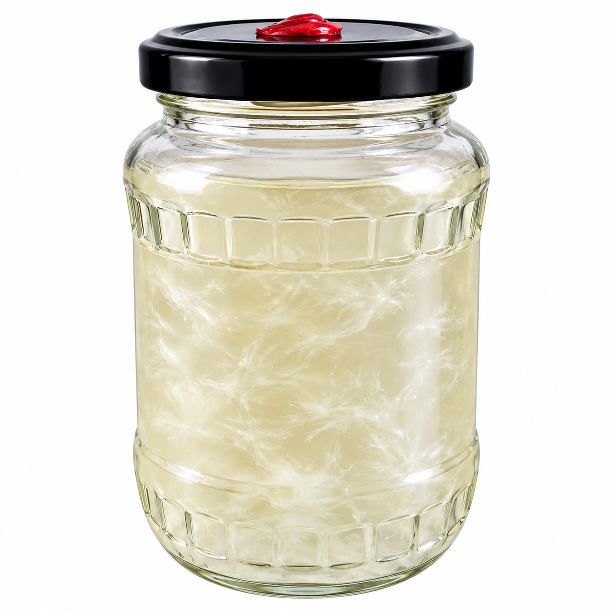 Mushroom Liquid Culture Jar 500mL Urban Fungi